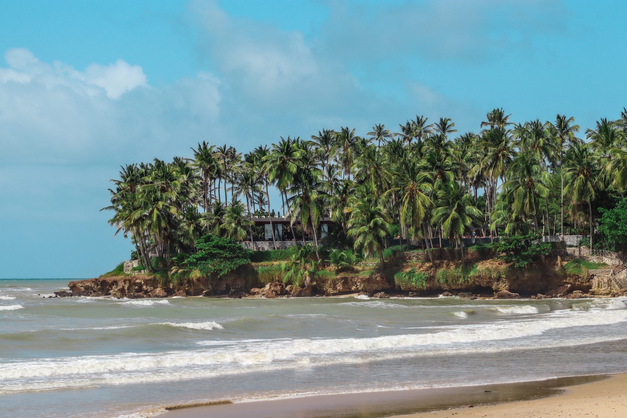 Praia de Taíba vista da falésia com coqueiros